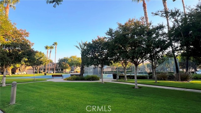 26330 Long Street, Loma Linda CA: https://media.crmls.org/medias/5c829ae5-dbb6-4a75-9beb-7318df2843a2.jpg