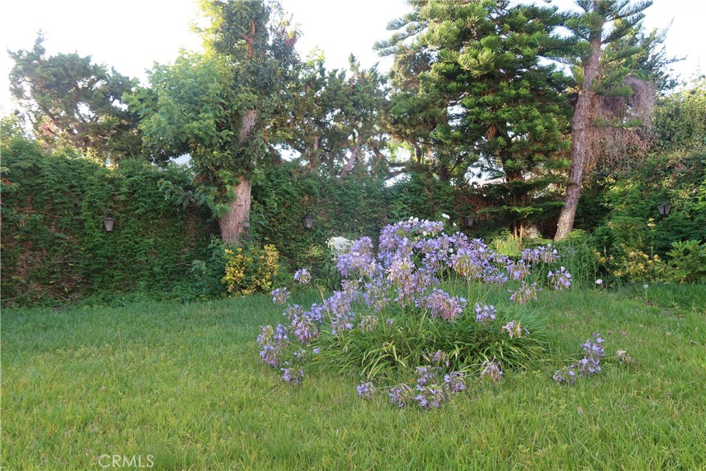 https://media.crmls.org/medias/5c8be9ce-495c-45bc-834e-e7e61a9fa337.jpg?preset=X-Large