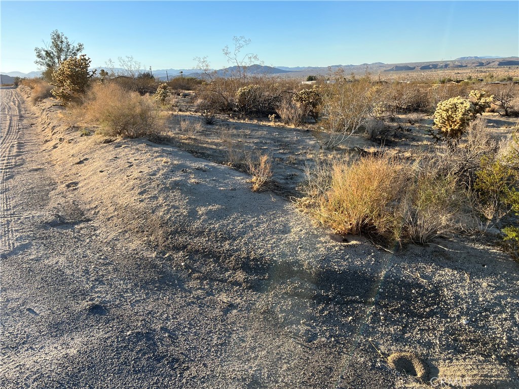 MLS #JT25250463 image #12