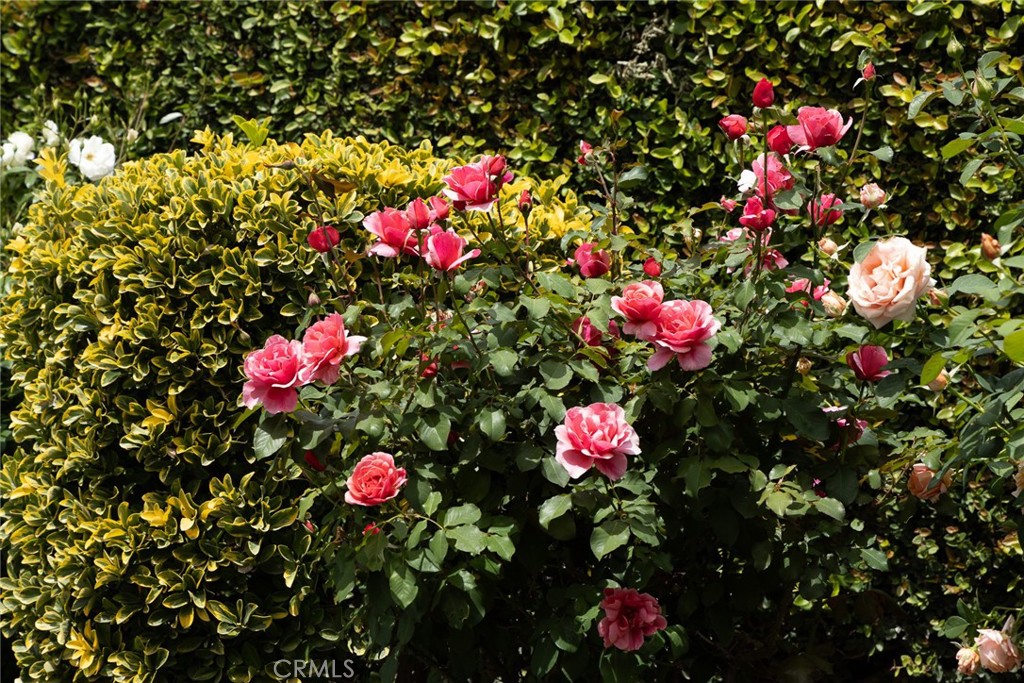 https://media.crmls.org/medias/5c9372ac-dfc2-4a4c-8aaf-6babe7c291c2.jpg?preset=X-Large