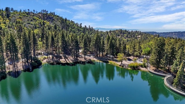 Detail Gallery Image 41 of 41 For 33338 Wild Rose, Green Valley Lake,  CA 92341 - 3 Beds | 2/1 Baths