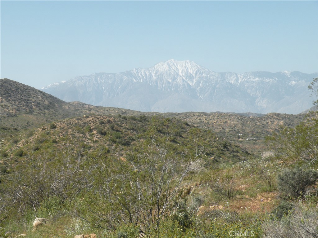 MLS #AR24255987 image #3