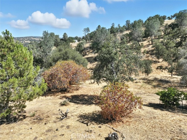42480 Ranger Circle Way, Coarsegold CA: https://media.crmls.org/medias/5cac264e-7723-4ad4-b83f-eb0cf1a5cb8e.jpg