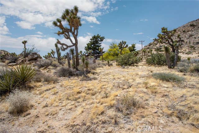8385 Elk Court, Yucca Valley CA: https://media.crmls.org/medias/5cb02979-38c9-48c8-9cad-ba1208eabdbb.jpg