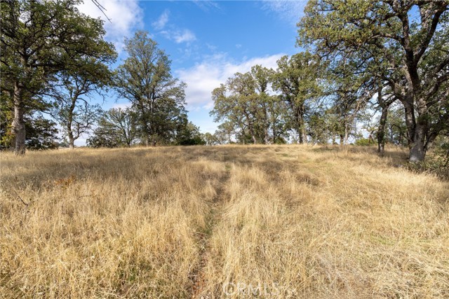 Detail Gallery Image 16 of 29 For 17333 Wagon Wheel Road, Corning,  CA 96021 - – Beds | – Baths