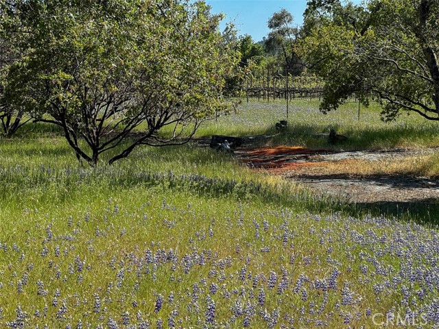 Detail Gallery Image 66 of 70 For 4683 Morningstar Ln, Mariposa,  CA 95338 - – Beds | – Baths