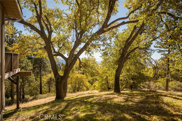 2461 Spring Oak Drive, Running Springs CA: https://media.crmls.org/medias/5cc2b91f-eff1-4e75-9bce-9b7a6fdb5f57.jpg