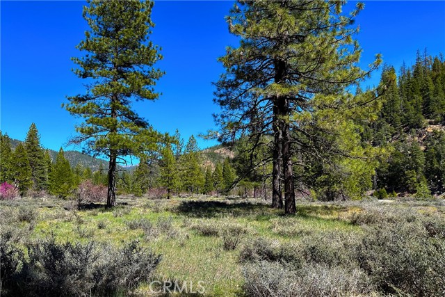 Detail Gallery Image 31 of 35 For 79402 State Highway 3, Trinity Center,  CA 96091 - – Beds | – Baths