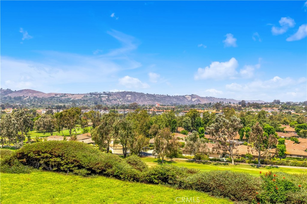 MLS #OC25181246 image #34