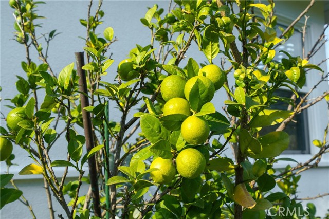 Detail Gallery Image 25 of 26 For 20122 Orchid St, Newport Beach,  CA 92660 - 3 Beds | 1 Baths