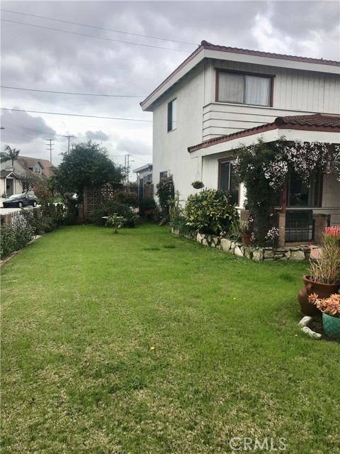 View of front yard.