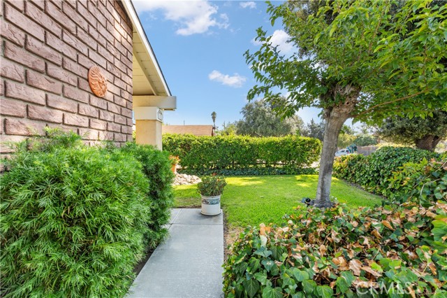 Detail Gallery Image 4 of 32 For 1532 Alta St, Redlands,  CA 92374 - 3 Beds | 2 Baths