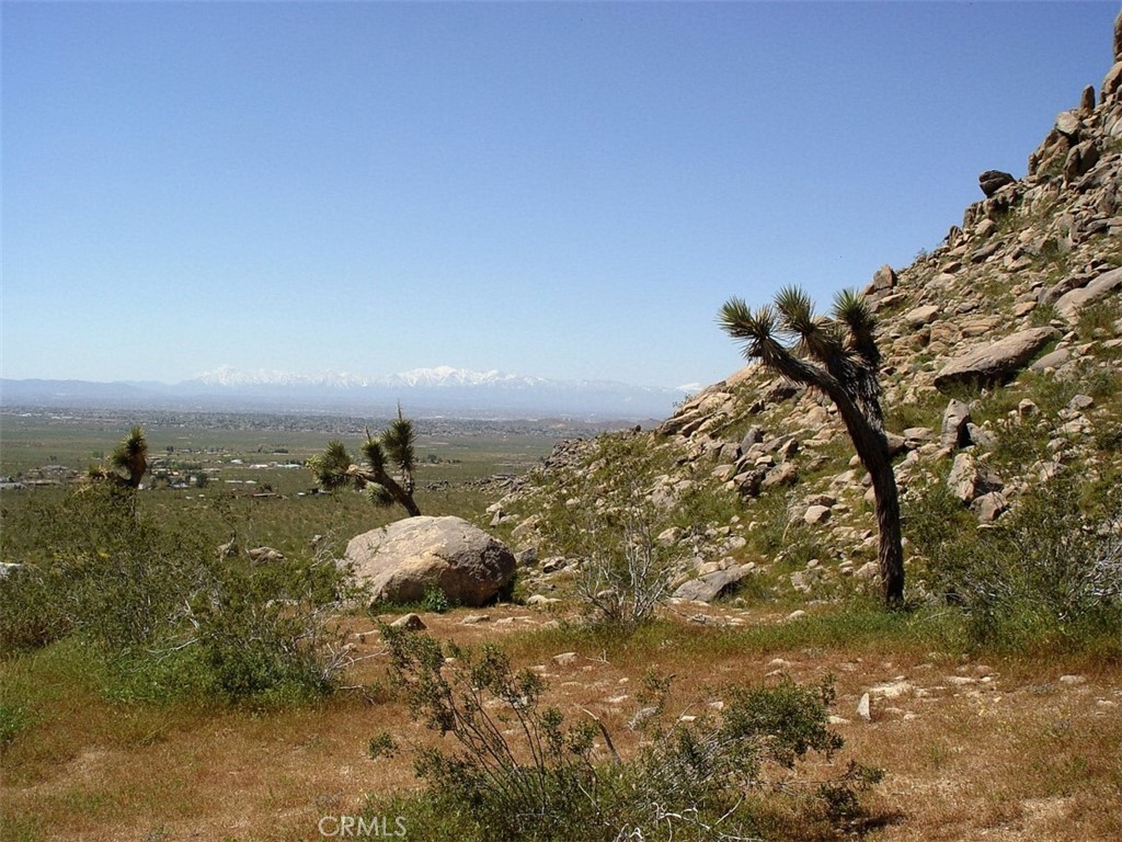MLS #HD26154562 image #17