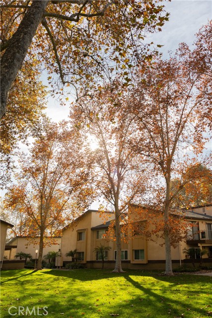 Detail Gallery Image 53 of 55 For 1219 N Edwards St #33,  Redlands,  CA 92374 - 2 Beds | 1 Baths