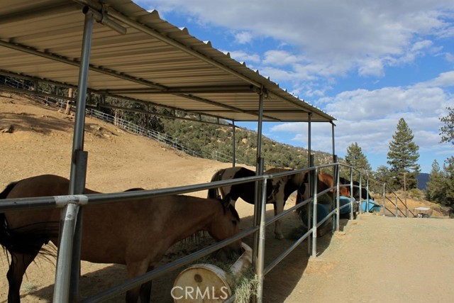 Detail Gallery Image 54 of 61 For 1613 Lassen Way, –,  CA 93222 - 4 Beds | 3 Baths