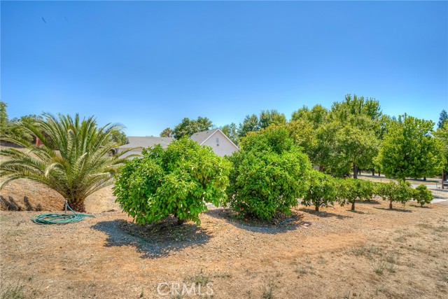 6060 Miners Ranch Road, Oroville CA: https://media.crmls.org/medias/5cd7fc3e-caab-4724-b60a-5267cab49515.jpg