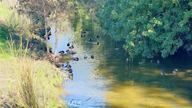 Detail Gallery Image 20 of 58 For 898 Ronda Sevilla #N,  Laguna Woods,  CA 92637 - 2 Beds | 2 Baths