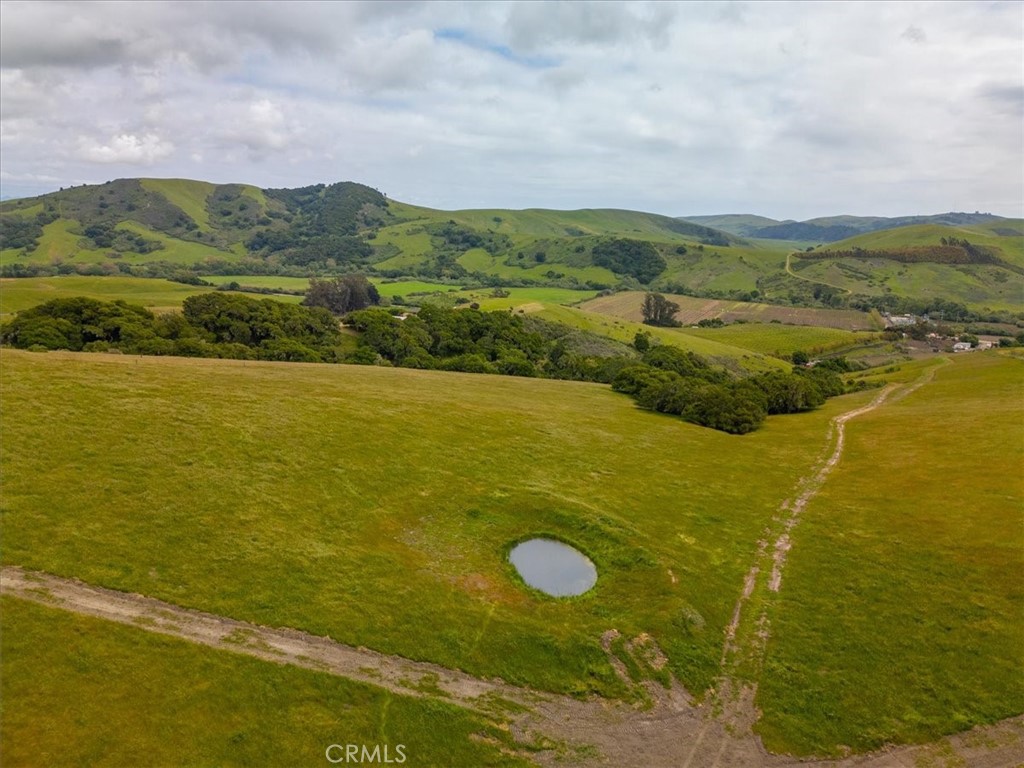 MLS #PI25041316 image #14