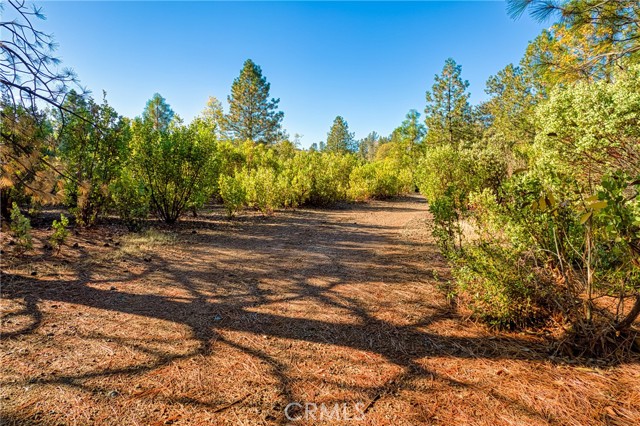 Detail Gallery Image 29 of 38 For 8946 Highway 175, Kelseyville,  CA 95451 - 2 Beds | 1 Baths