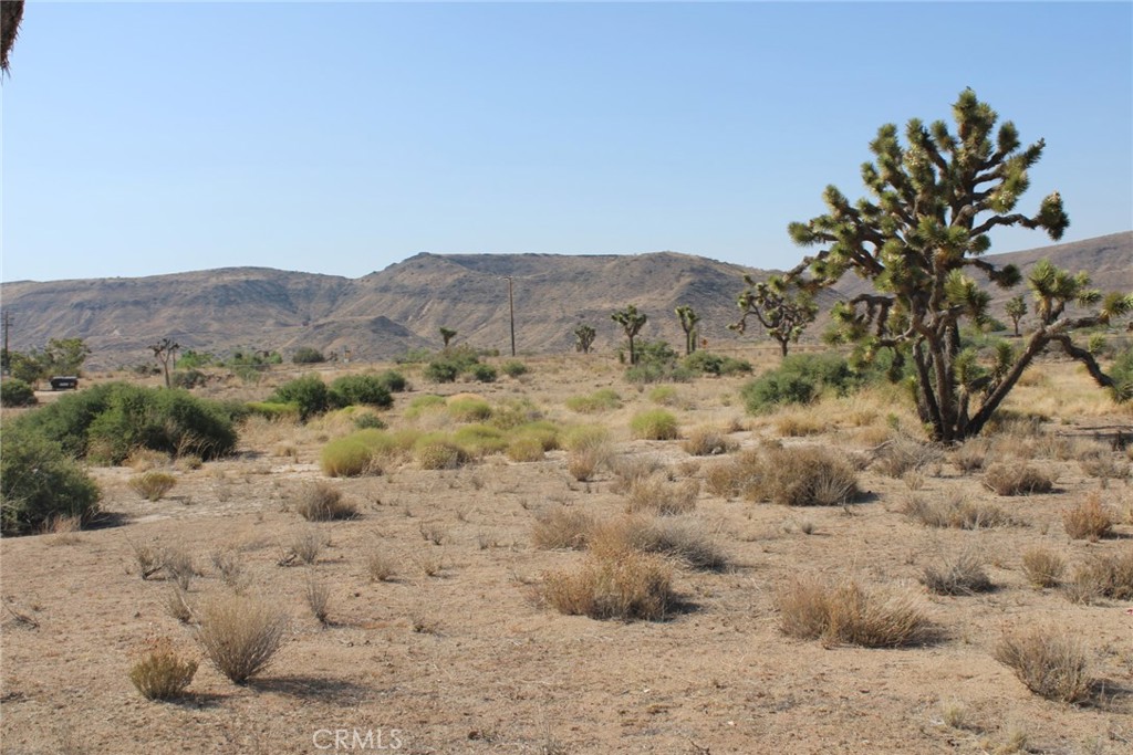 MLS #CV25150711 image #7