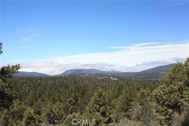 Detail Gallery Image 44 of 55 For 615 Kean Way, Big Bear City,  CA 92314 - – Beds | – Baths