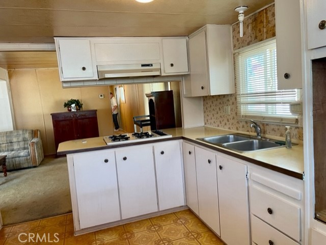 10711 Sherman Grove Avenue, 27 photo 2