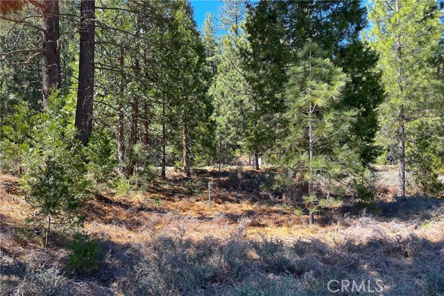 Detail Gallery Image 26 of 35 For 79402 State Highway 3, Trinity Center,  CA 96091 - – Beds | – Baths