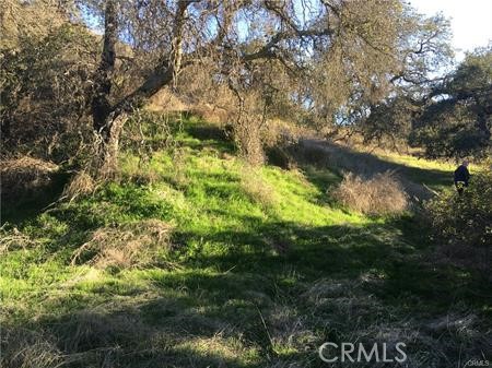 Detail Gallery Image 4 of 27 For 9 La Cruz Drive, Temecula,  CA 92590 - – Beds | – Baths