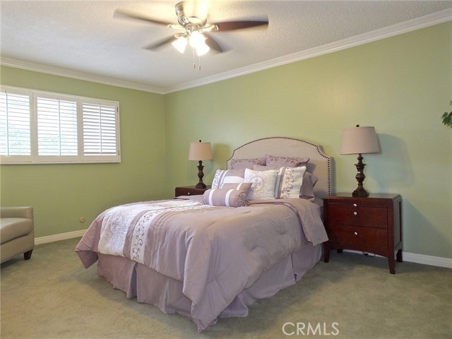 The master bedroom enjoys wonderful baseboards and crown molding along with Plantation shudders The master bedroom enjoys wonderful baseboards and crown molding along with Plantation shudders