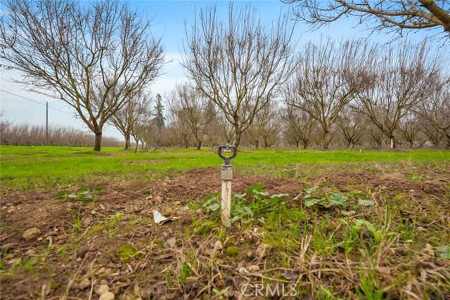 Detail Gallery Image 6 of 47 For 16221 Carrolton, Escalon,  CA 95320 - – Beds | – Baths