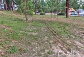 MLS #SR25074680 img 1