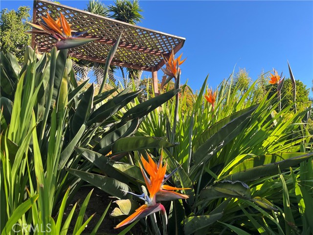 Detail Gallery Image 26 of 30 For 4862 Sevilla Way, Carlsbad,  CA 92008 - 4 Beds | 3 Baths