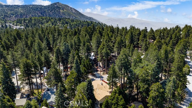31686 Luring Pines Circle, Running Springs, CA 92382