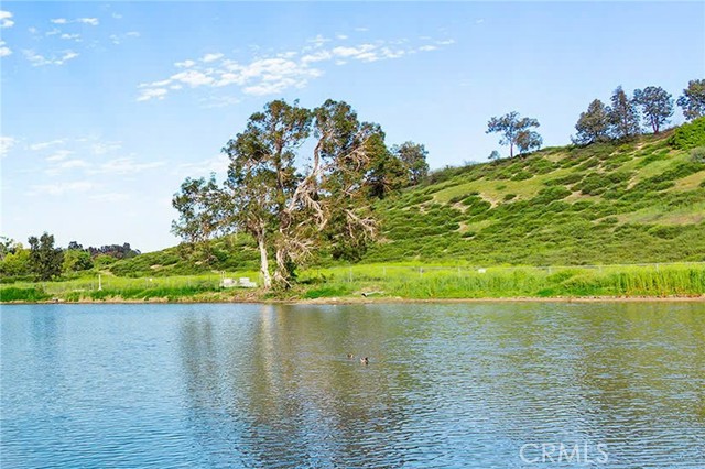 29951 Cactus Place, Temecula CA: https://media.crmls.org/medias/5d1552c7-2e26-4e82-b15b-dd590d14e3e0.jpg