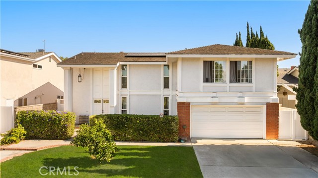 17612 Webster