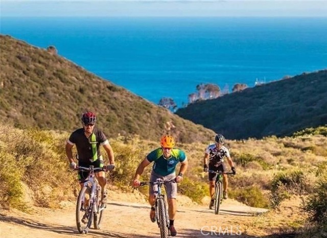 Detail Gallery Image 20 of 23 For 1445 Bluebird Canyon, Laguna Beach,  CA 92651 - 2 Beds | 1/1 Baths