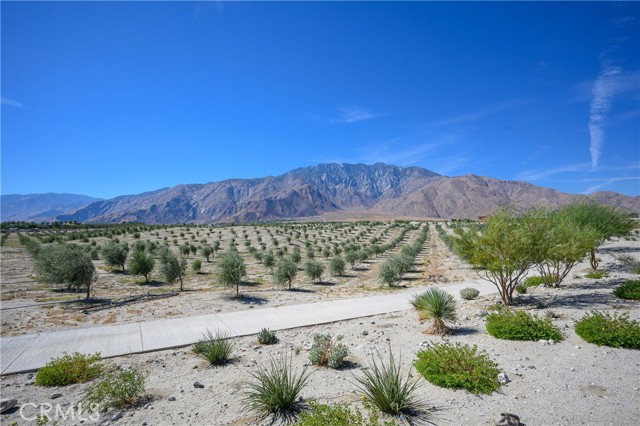 Detail Gallery Image 31 of 37 For 4365 Rambler Ln, Palm Springs,  CA 92262 - 3 Beds | 3/1 Baths