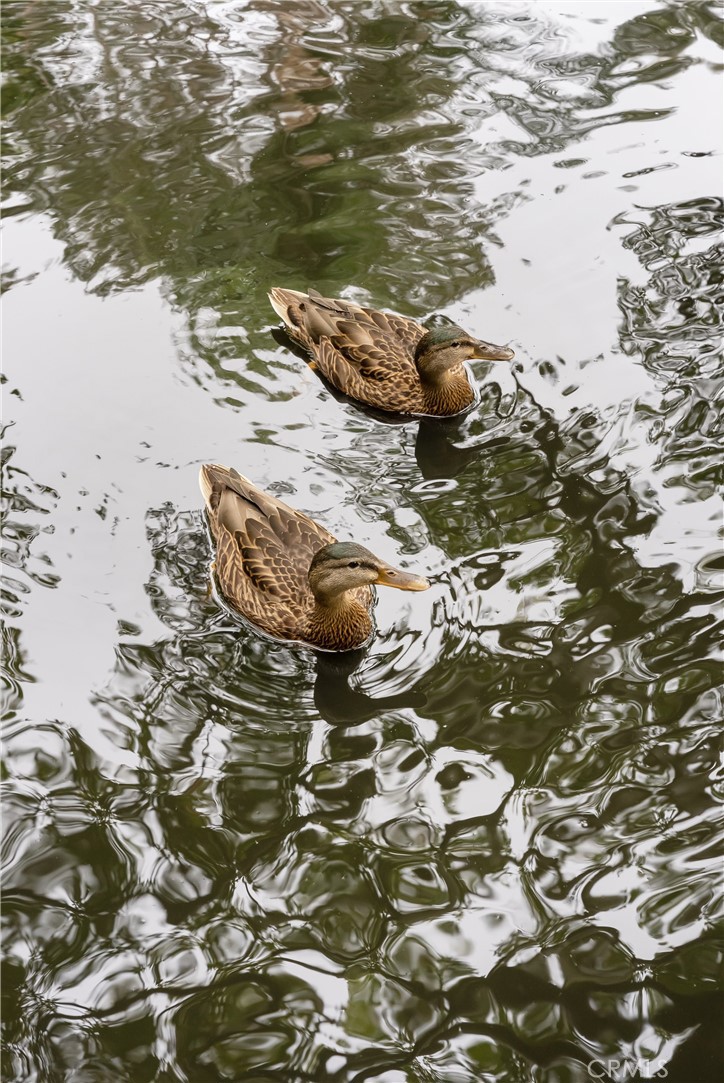 https://media.crmls.org/medias/5d22ddf8-1fd1-4eb1-867e-32cc17dd00c5.jpg?preset=X-Large