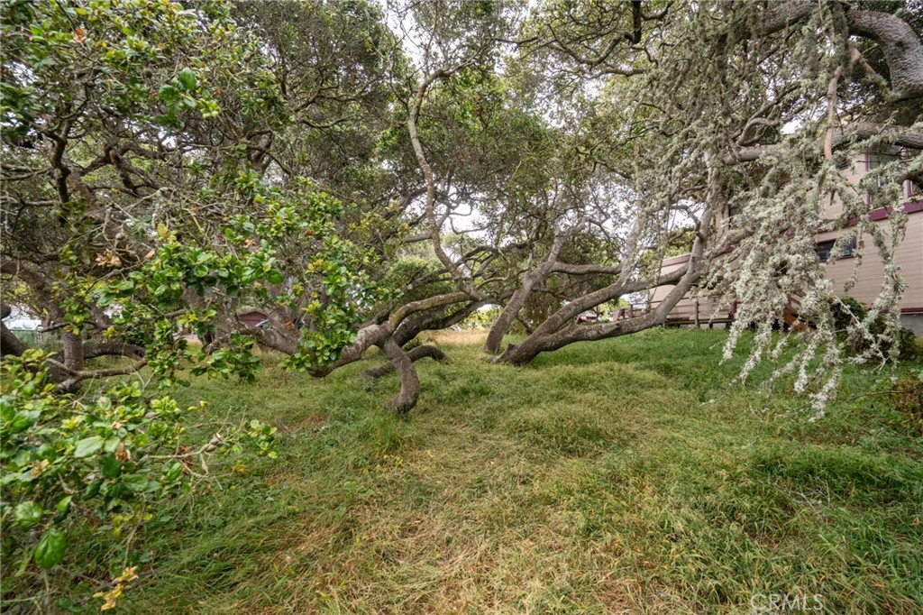 MLS #SC25145989 image #11