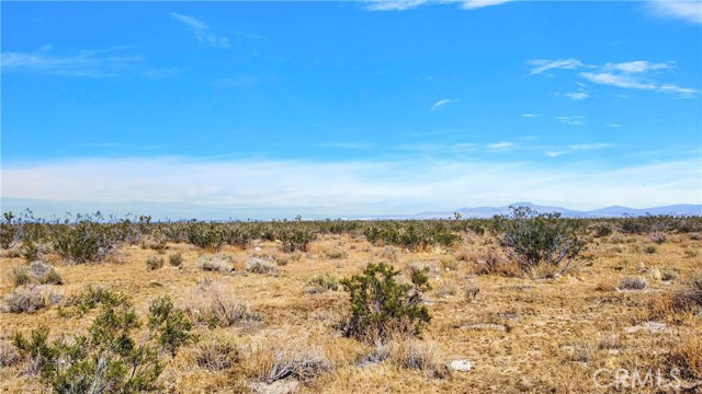 0 Bear Valley Road, Victorville CA: https://media.crmls.org/medias/5d2604a3-d01e-47d6-b35f-bcdc9f59500a.jpg
