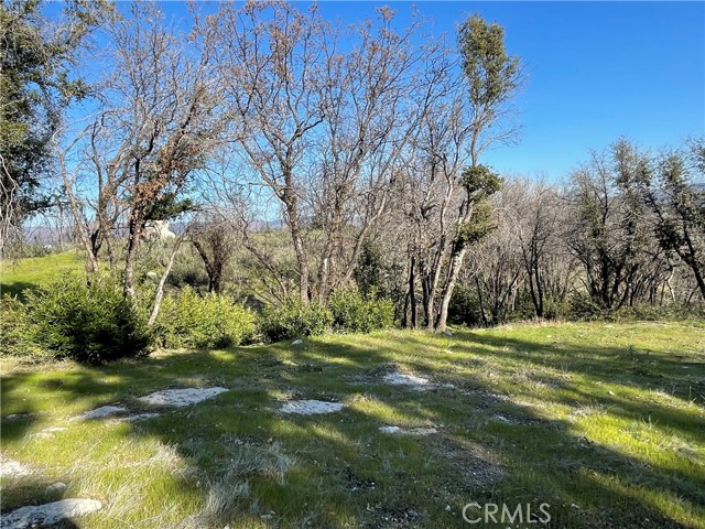 363 Raccoon Road, Berry Creek, California 95916, ,Land,For Sale,363 Raccoon Road,CROR24029245