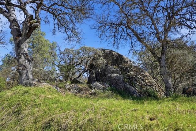 Detail Gallery Image 29 of 29 For 4260 Burl, Mariposa,  CA 95338 - – Beds | – Baths