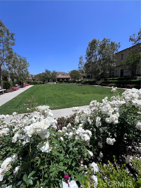 Detail Gallery Image 29 of 36 For 4432 Owens St #104,  Corona,  CA 92883 - 3 Beds | 2/1 Baths