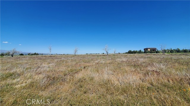 Detail Gallery Image 6 of 24 For 0 263rd St West North of Ave C13, –,  CA 93536 - – Beds | – Baths