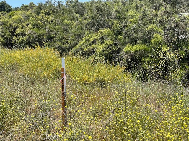 Detail Gallery Image 11 of 17 For 0 Tanager, Hemet,  CA 92544 - – Beds | – Baths