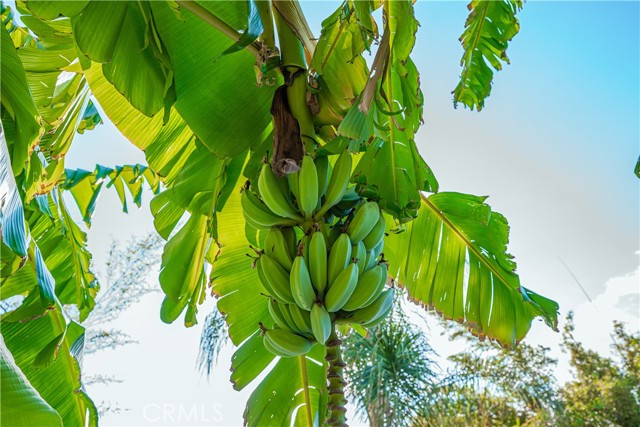 Detail Gallery Image 59 of 74 For 6580 Lake, Riverside,  CA 92503 - 3 Beds | 2 Baths