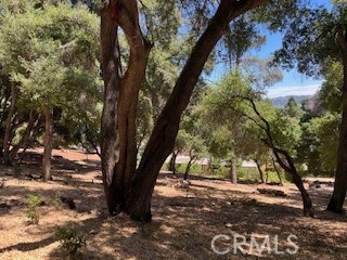 7878 Soda Bay Road, Kelseyville CA: https://media.crmls.org/medias/5d36a38d-77db-42a4-8bd5-b6400b44965e.jpg