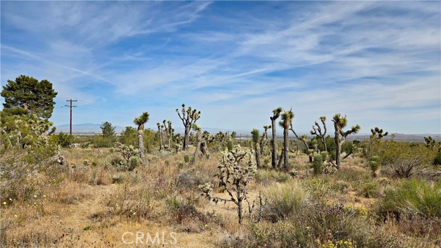 Detail Gallery Image 13 of 49 For 0 103rd St East Vicinity W14, –,  CA 93543 - – Beds | – Baths