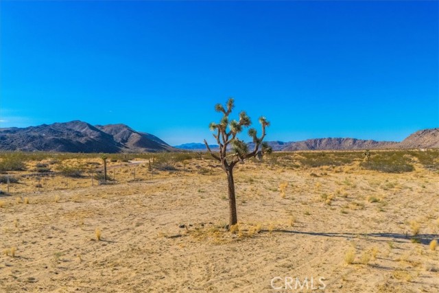 Detail Gallery Image 29 of 33 For 2467 Sand Dr, Landers,  CA 92285 - 3 Beds | 1 Baths