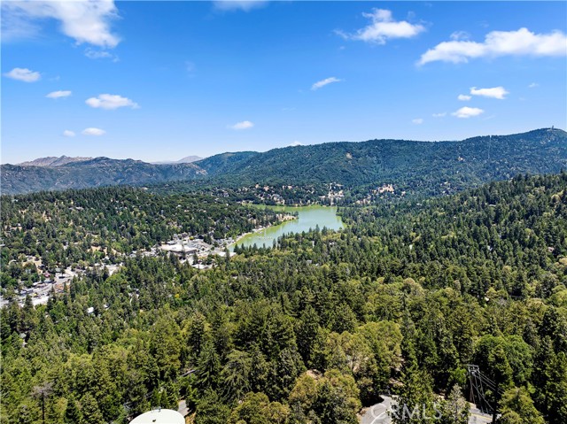 Detail Gallery Image 31 of 36 For 23746 Crest Forest, Crestline,  CA 92325 - 3 Beds | 2 Baths